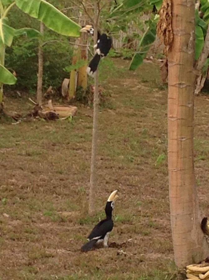 Baansuan Amaleena Đảo Koh Yao Noi Ngoại thất bức ảnh