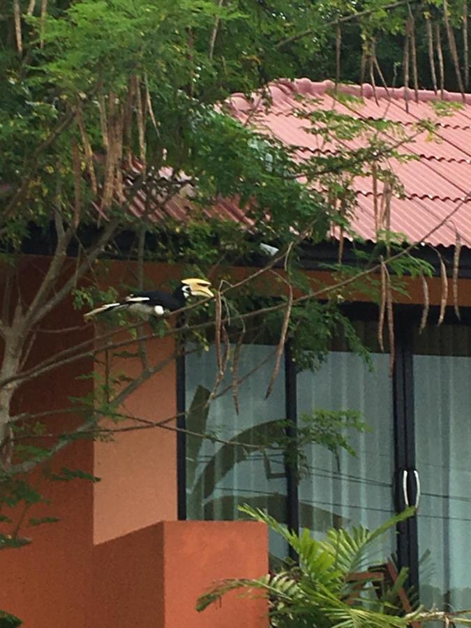 Baansuan Amaleena Đảo Koh Yao Noi Ngoại thất bức ảnh