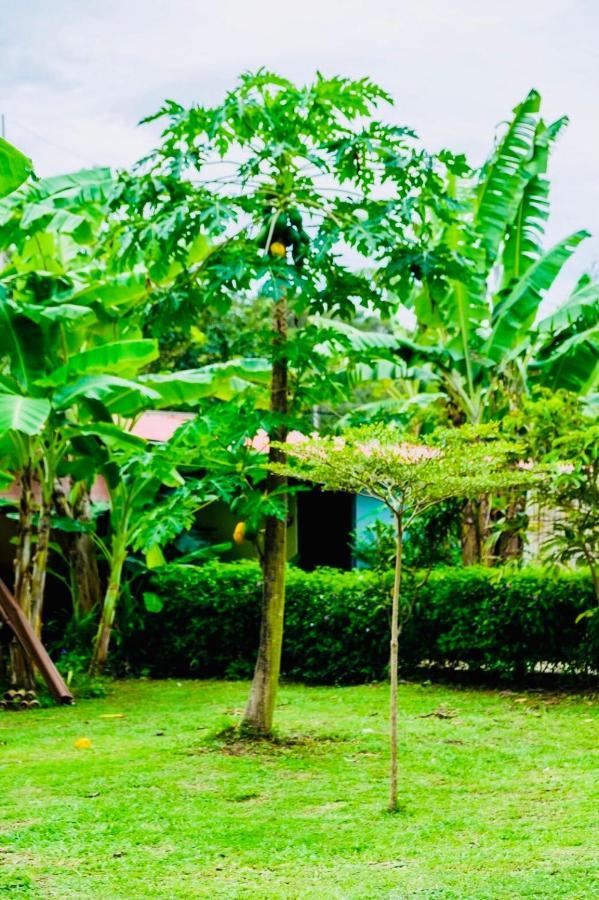 Baansuan Amaleena Đảo Koh Yao Noi Ngoại thất bức ảnh